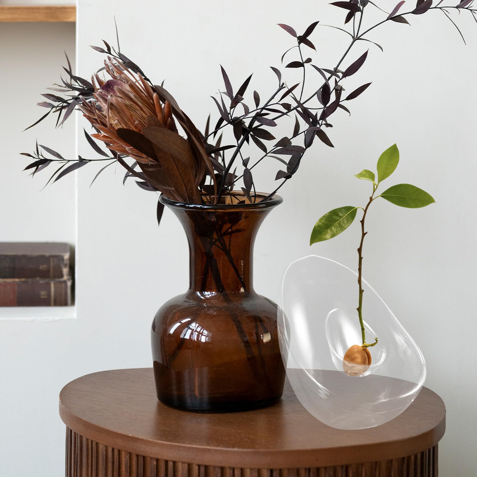 Vase à Fleurs en Verre Hydroponique D’Avocat Pot de Propagation pour Bulbes et Boutures Ouverture Large Décoration Moderne pour Maison et Culture D’Intérieur