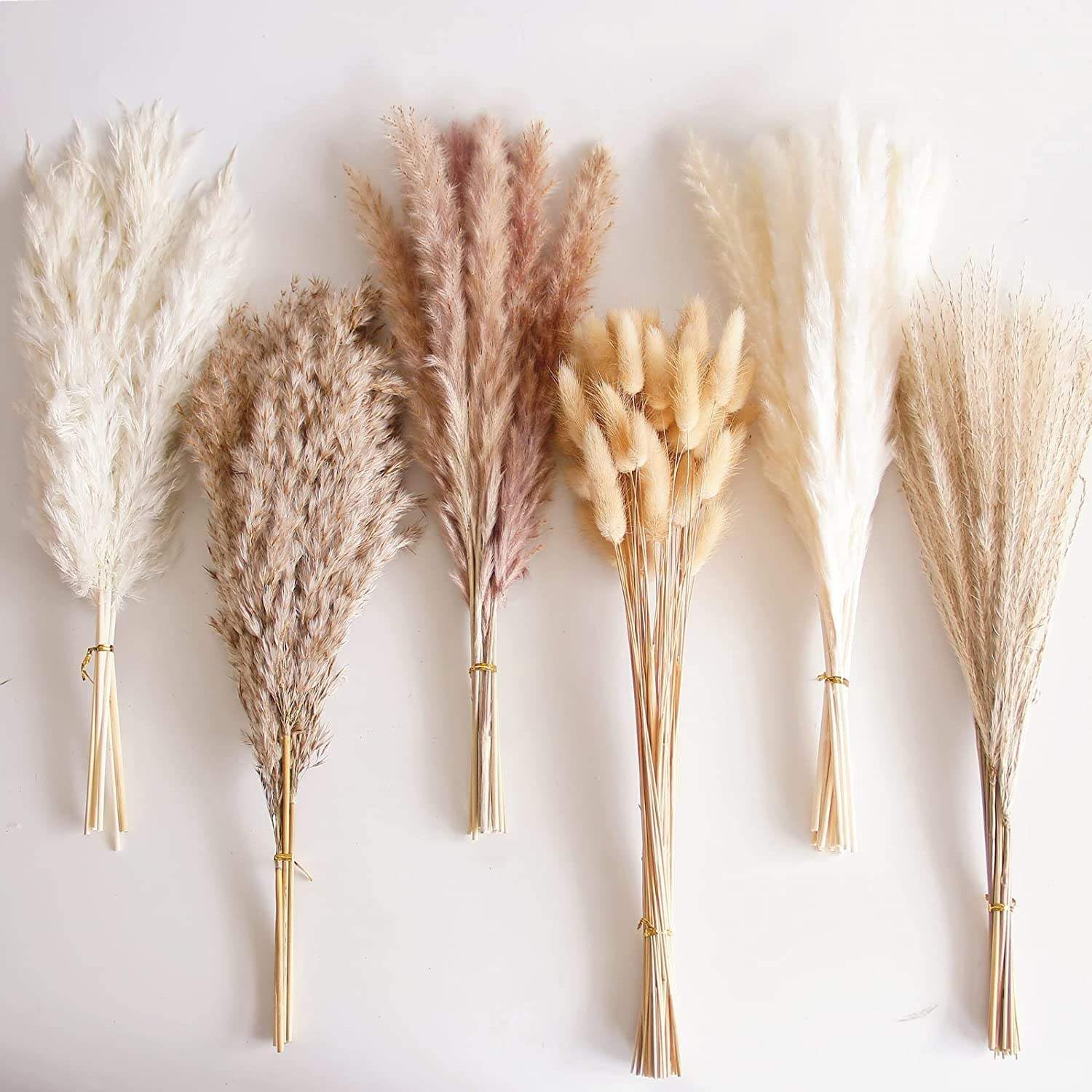 Pampasgras Boho Dekor, Getrocknetes Pampasgras Kaninchenschwanzstrauß für Vase Home Wedding Decoration(30pcs)