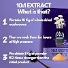 Organic Wild Chaga Mushroom Powder 10X Strength - Supplement for Energy, Skin & Brain Support Rich in Antioxidants & Beta Glucans | HIGH Potency 10:1 Extract - 56 Serving (56g)