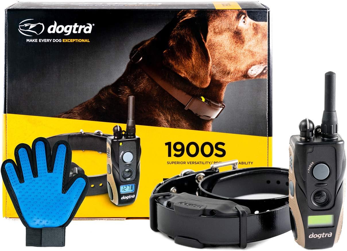 dog training products