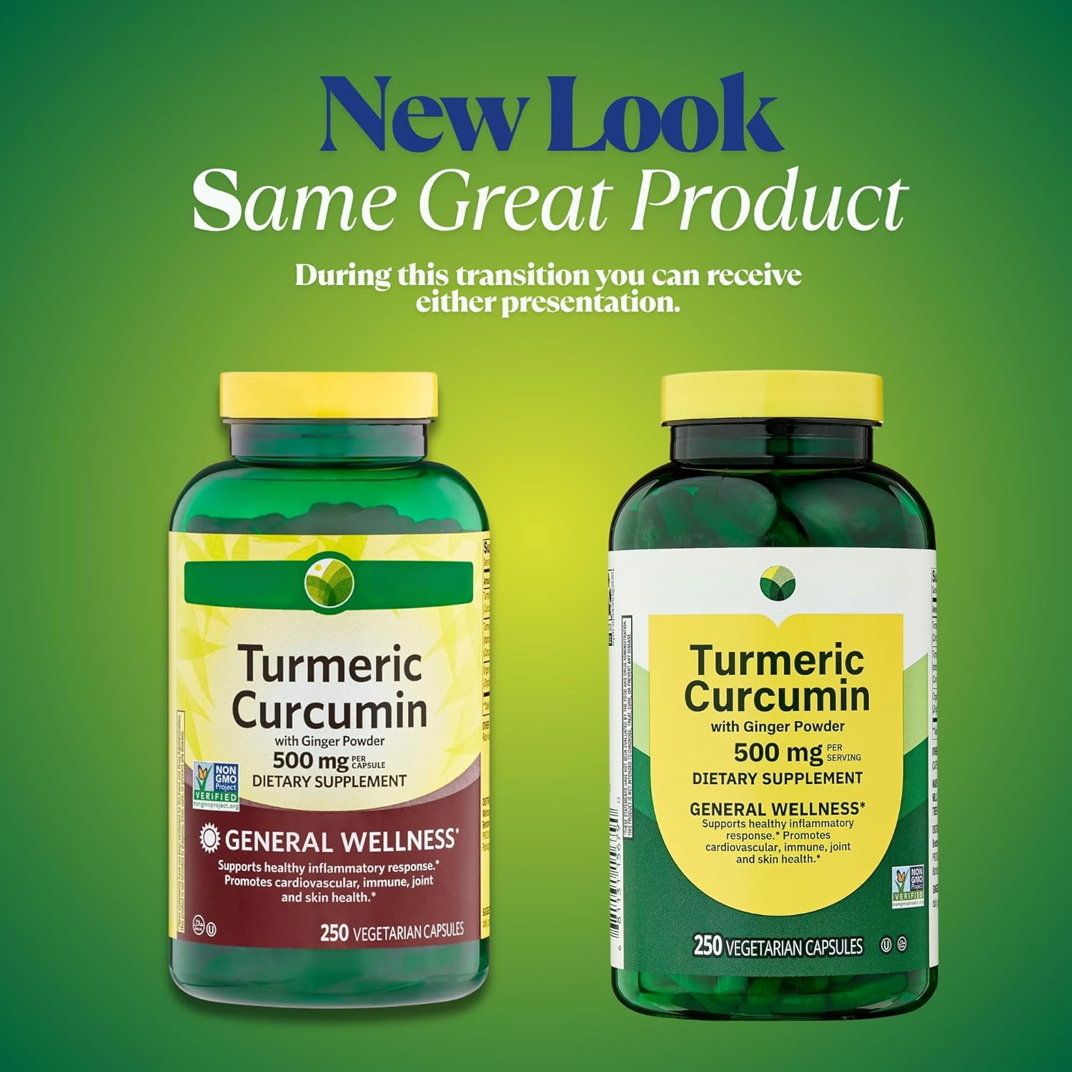 KP+ Turmeric Curcumin with Ginger Powder 500 mg | 250 Veg Capsules | Pack of 2