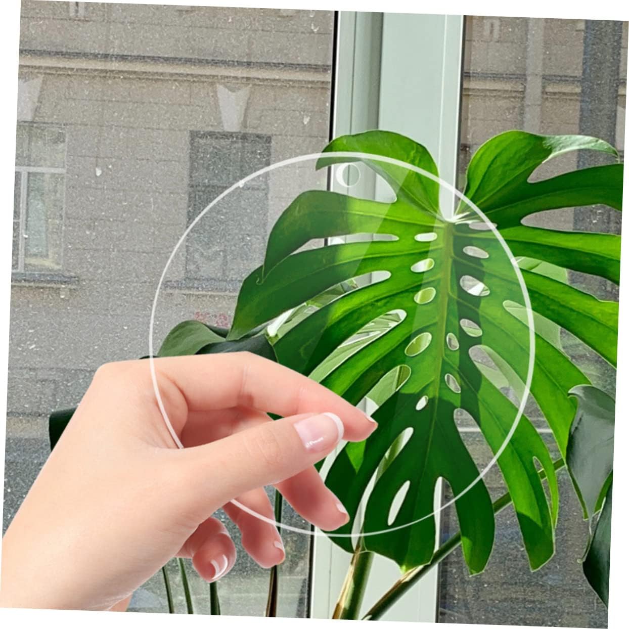 DOITOOL 20pcs Acrylic Circle Blanks Round Acrylic Sheets for DIY Art Craft Circle Board