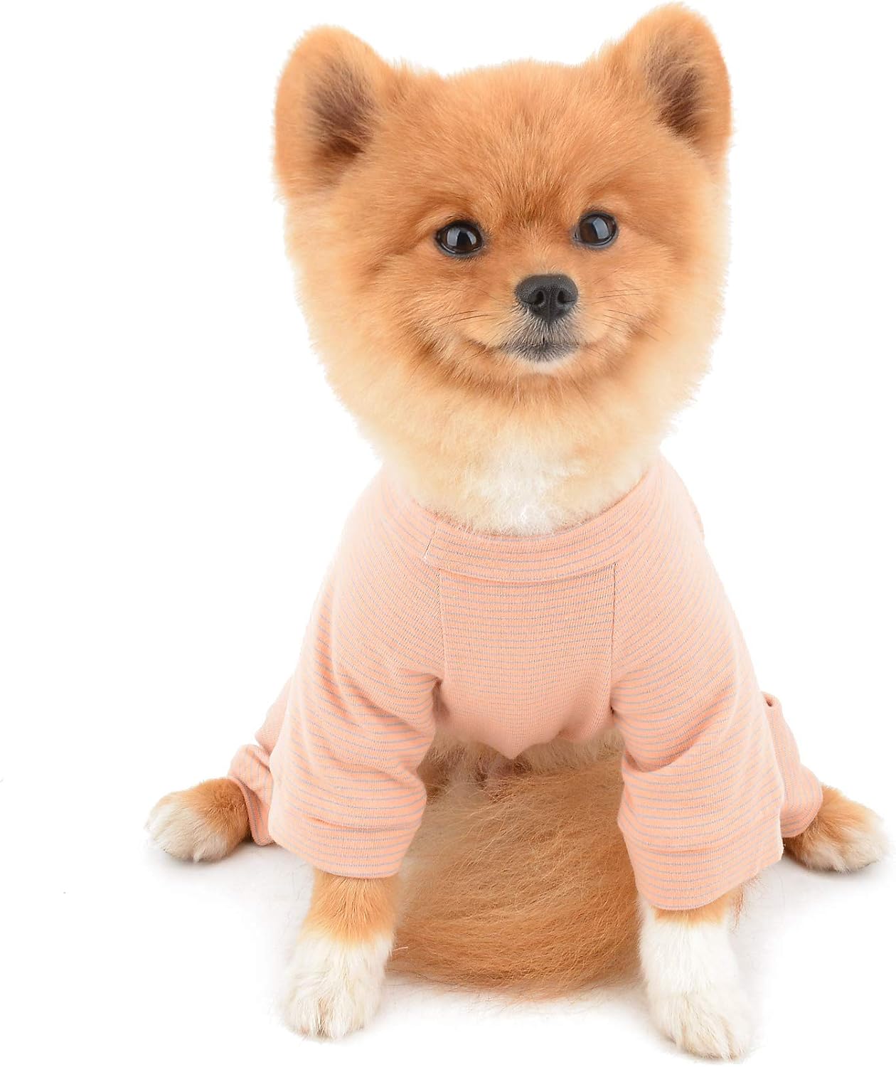 SMALLLEE_LUCKY_STORE Pet Striped Cotton Pajamas Pjs for Small Dogs Cats Puppy Pyjamas Jumpsuit Bodysuit Indoor Jumper Shirt with legs Yorkie Chihuahua Clothes - Image 5
