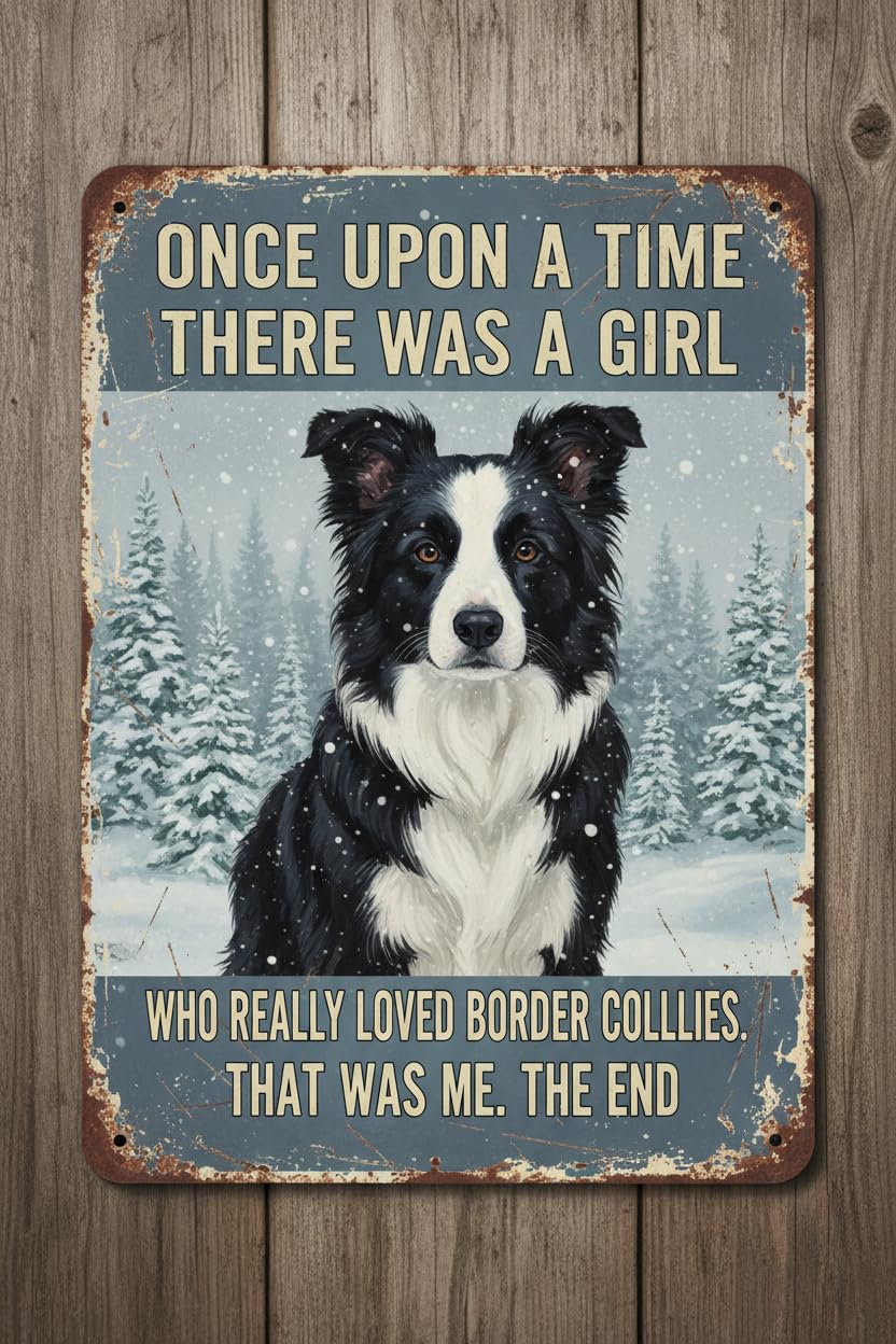 A Girl Who Really Loved Border Collies Tin Sign, 8x12 Inch