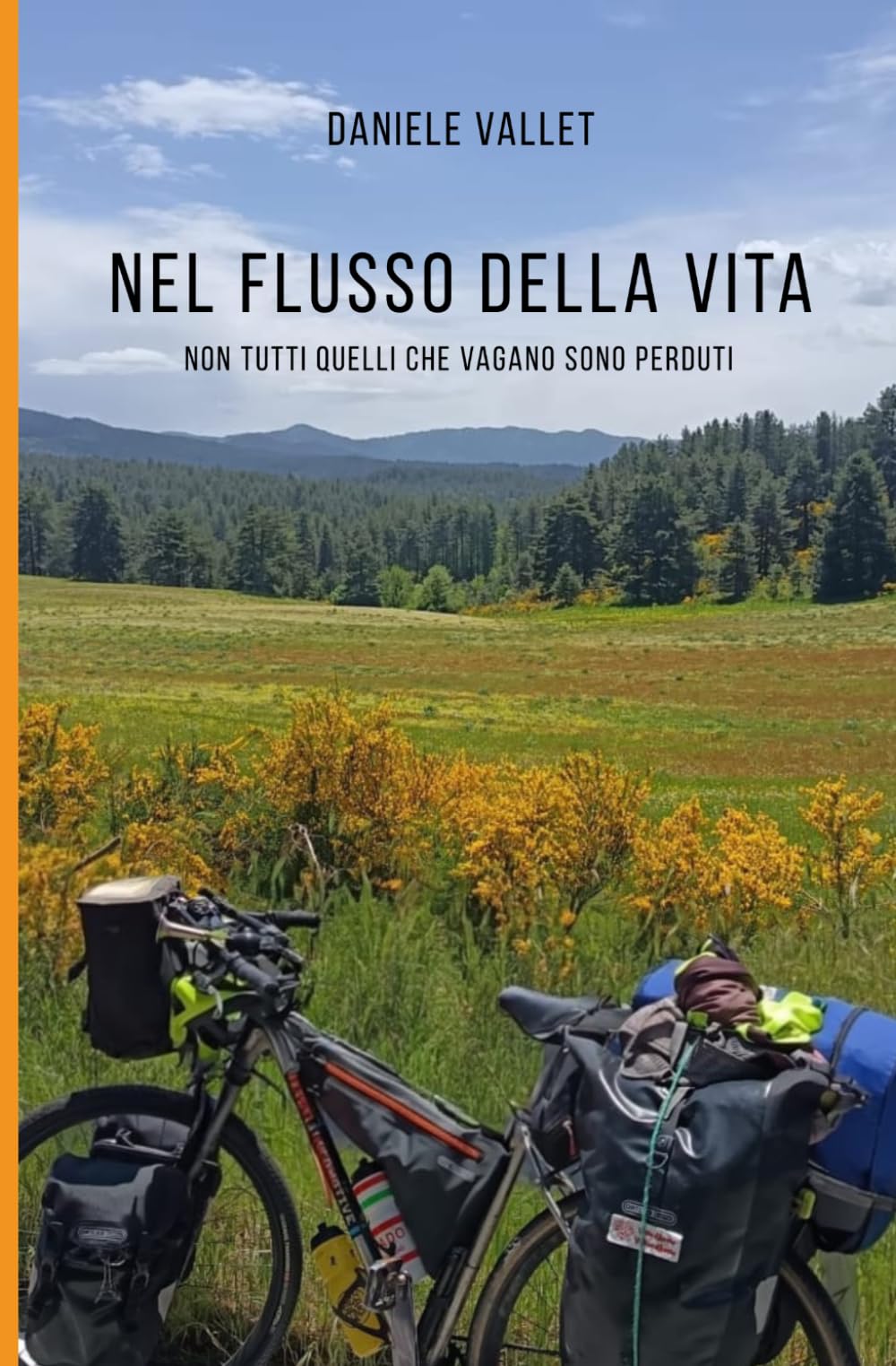 Nel Flusso della Vita