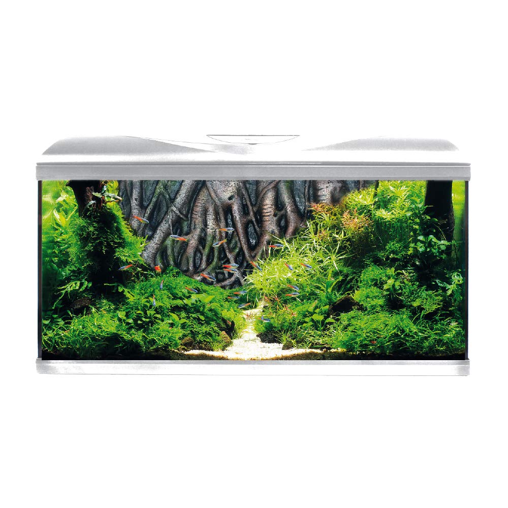 Croci A2001366 Acuario Completo con Amtra Sistema Raíz Fondo, 80 cm, Blanco LED
