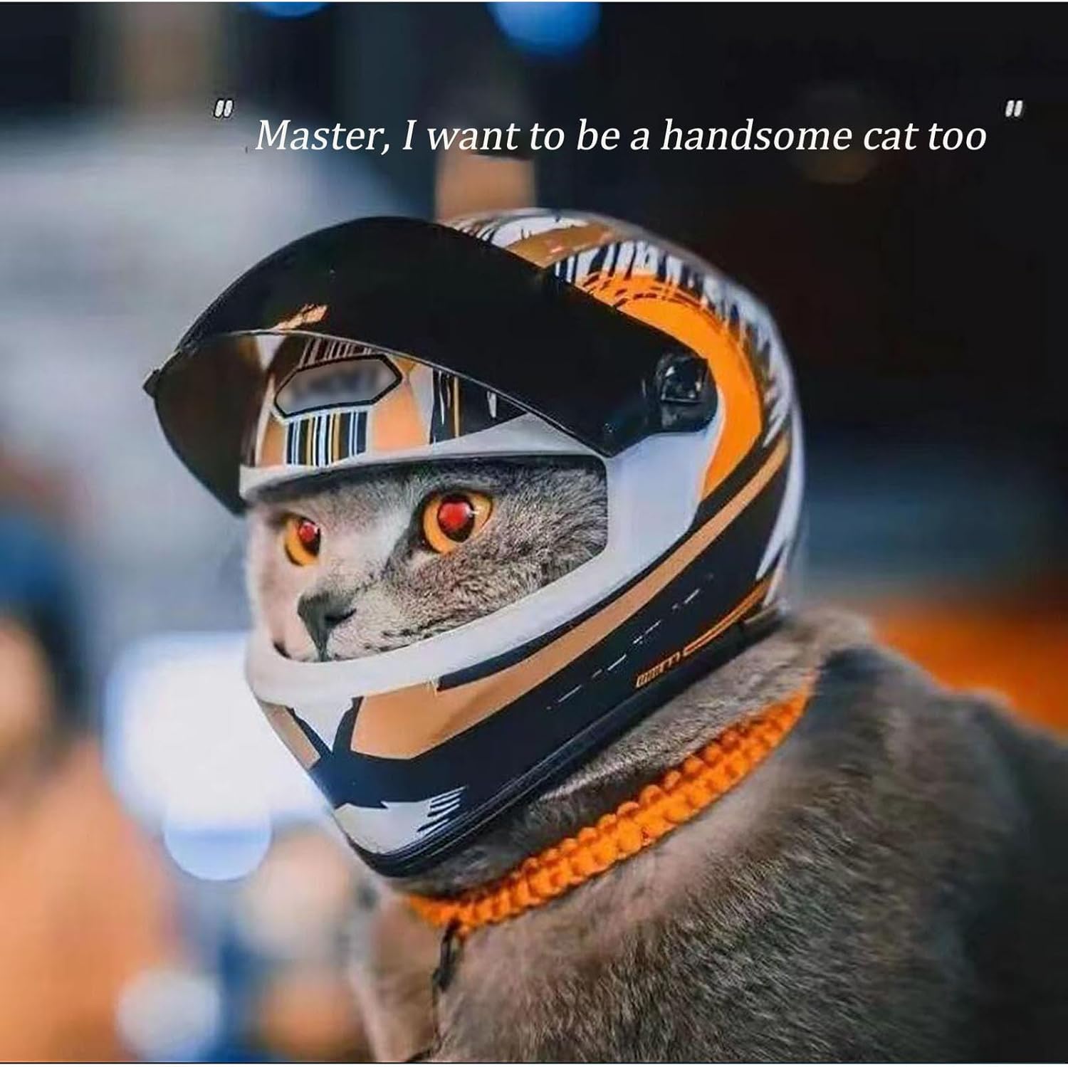 Cat Helmet Full Face Motorcycle Helmet Outdoor Motorcycle Bike Riding Helmet Hat for Cat Dog Doggie Puppy Kitten Helmet Supplies Racing Small Collect Gifts, DOT Approved