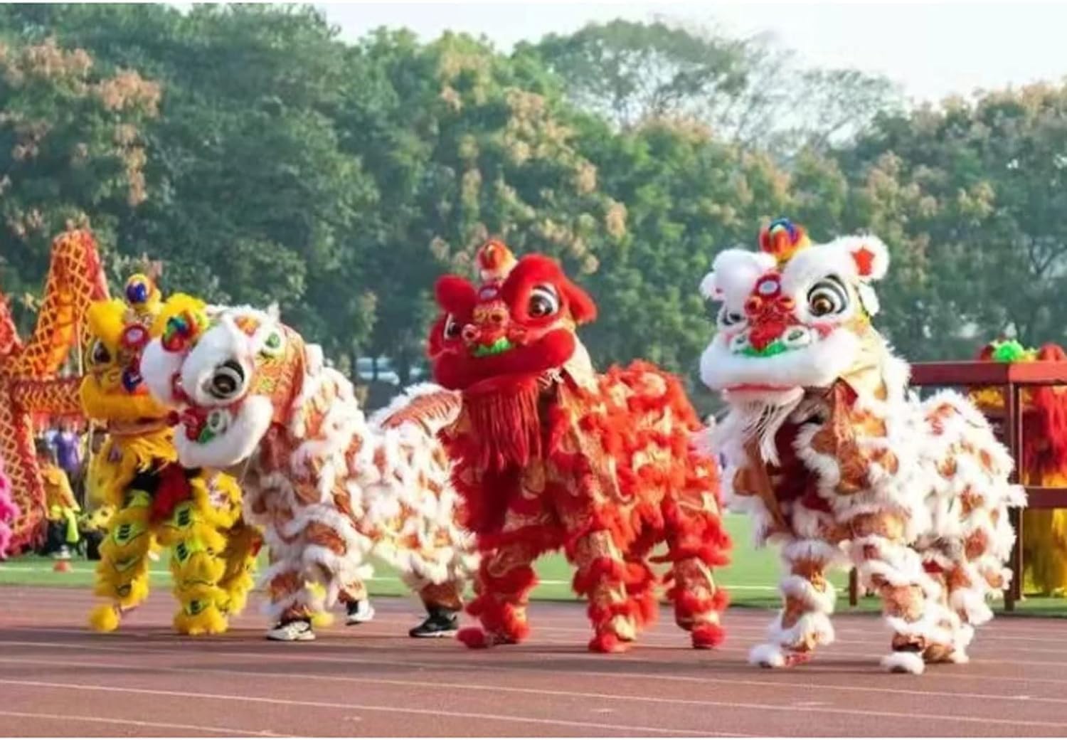 Drago Cinese per Feste Danza del Drago Cinese Leone Sport all'Aria Aperta Puntelli di per Spettacoli per Due Adulti Feste Cinesi in Italia(Pink)