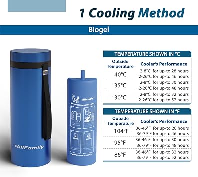 4ALLFAMILY Nomad Big 48H 1-7 Pen Insulin Cooler Travel CASE Medicine Cooler TSA Approved Box EpiPen Carry Case Medical Travel Cooler Bag Diabetic Pen Travel Hard Shell Insulina with Biogel Ice Pack