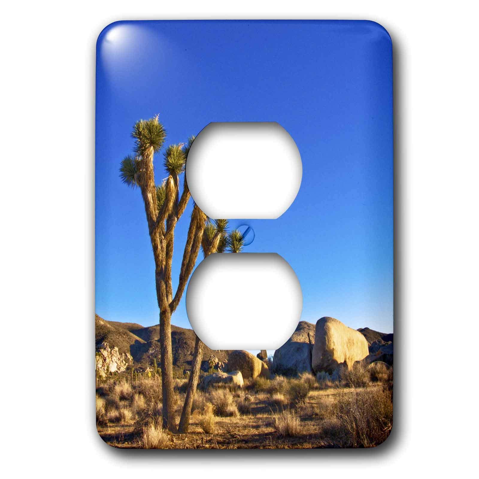 Plaque double prise Joshua Tree Landscape 3dRose finition haute définition