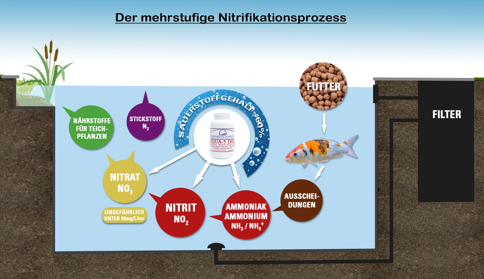 Aqua-5 Dry Hochkonzentrierte Teich & Filterbaktieren 280 g | Für Koiteich, Gartenteich, Schwimmteich, Aquarium für klares Wasser + Einer biologischen Filterung ausreichend bis zu 150.000 L Maxi-Dose