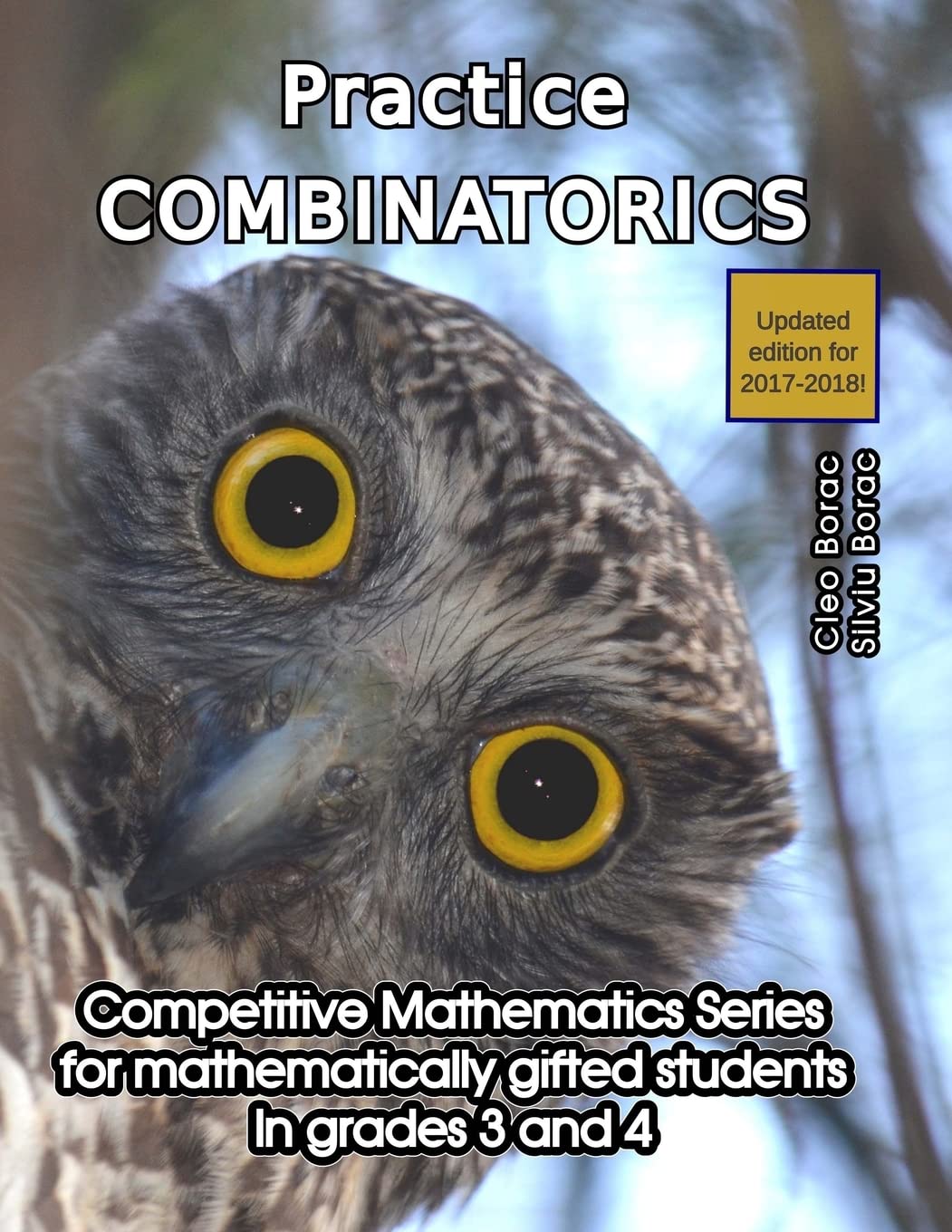 Practice Combinatorics: Level 2 (ages 9 to 11): Volume 8 (Competitive Mathematics for Gifted Students)