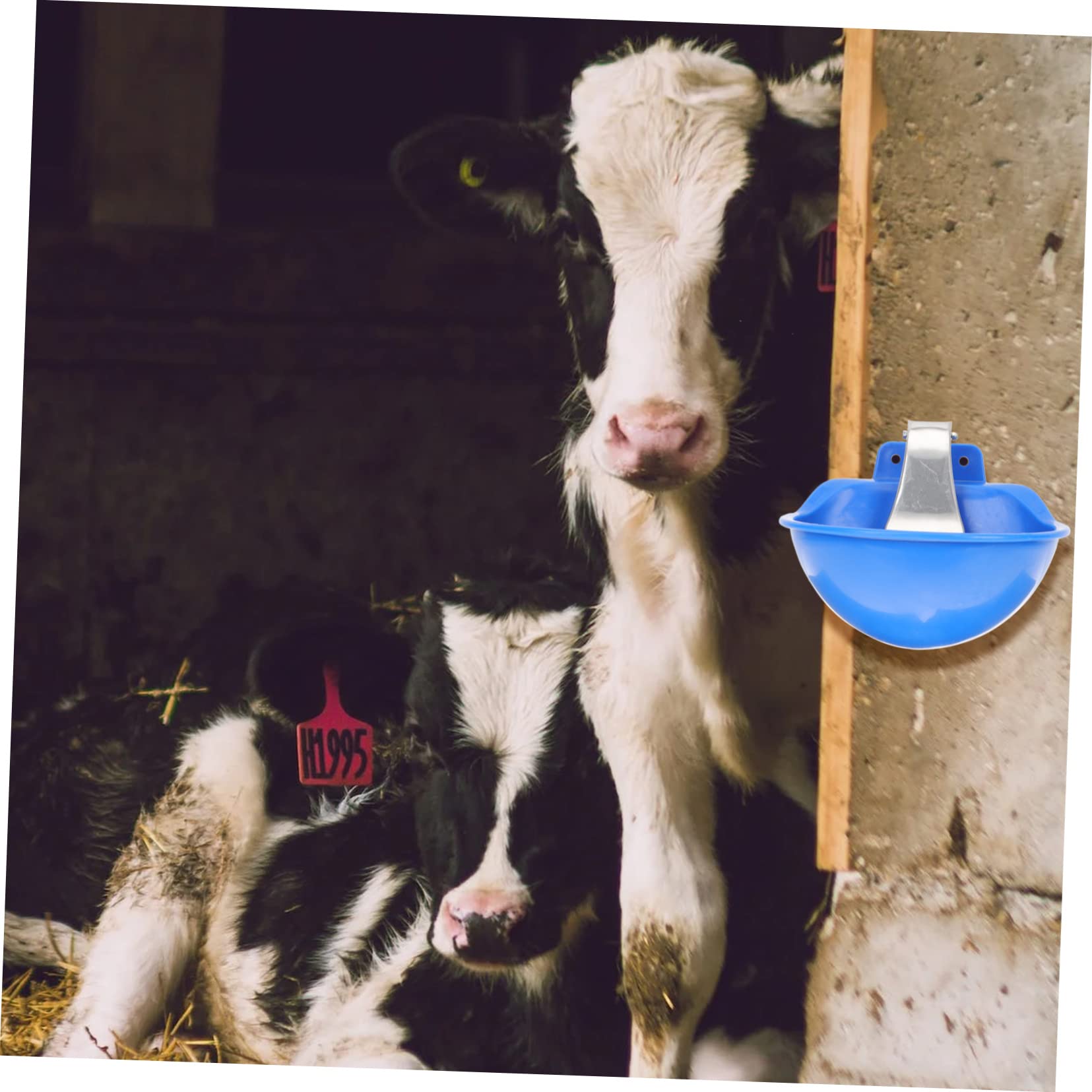 POPETPOP Fuente De Agua Potable Automática Para Ganado Comedero Para Vacas De Acero Inoxidable Bebedero Para Granja Sistema De Abrevadero Para Aves De Corral
