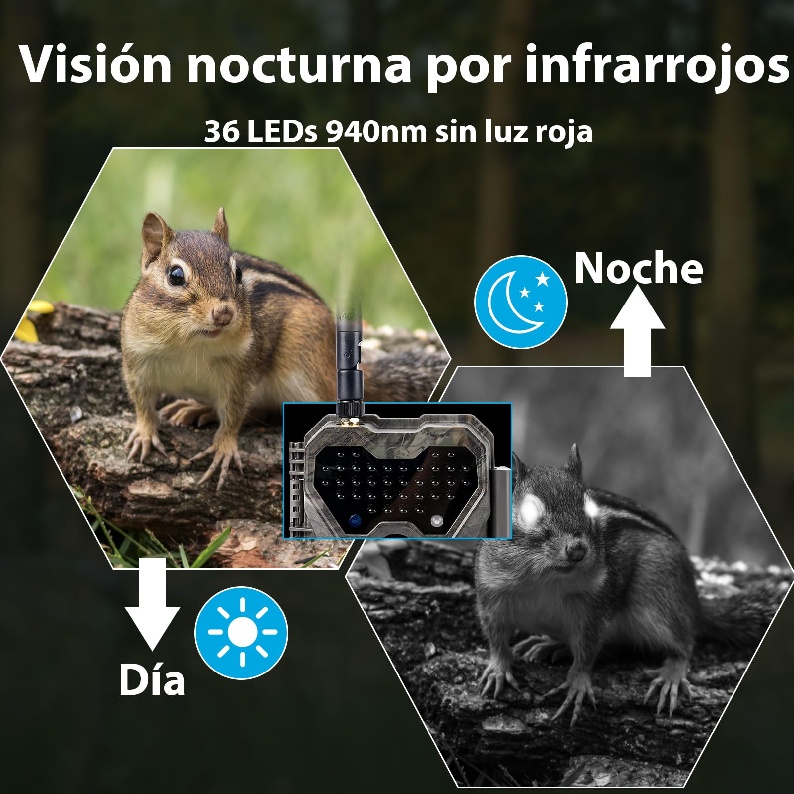 Meidase S970 Pro 4G LTE Cámara de Caza, 48MP 1296P, con Transmisión en Vivo, Visión Nocturna, Activación por Movimiento 0.1s, Transferencia de App, con Batería de 7800mAh y Tarjeta SD 64GB, GPS