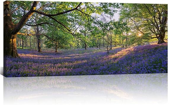 KLVOS - Large Nature Landscape Tree Forest Wall Art Gallery Wrapped Purple Lavender Flowers Picture Canvas Prints Home Wall Decoration 20"x48" Lavender Laverder, 1 Panel