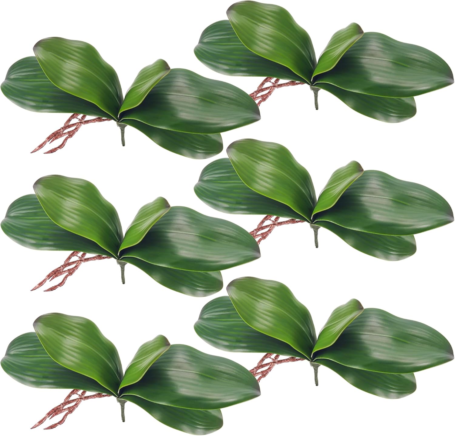 Miracliy Phalaenopsis Orchid Leaves Real Latex Touch Plants Arrangement