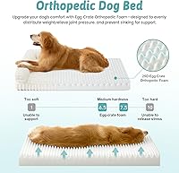 Vista 4 de Bonita cama para perro, cama ortopédica de espuma de conejo sintética con lados, funda extraíble lavable y forro impermeable, cómodo sofá para Crema