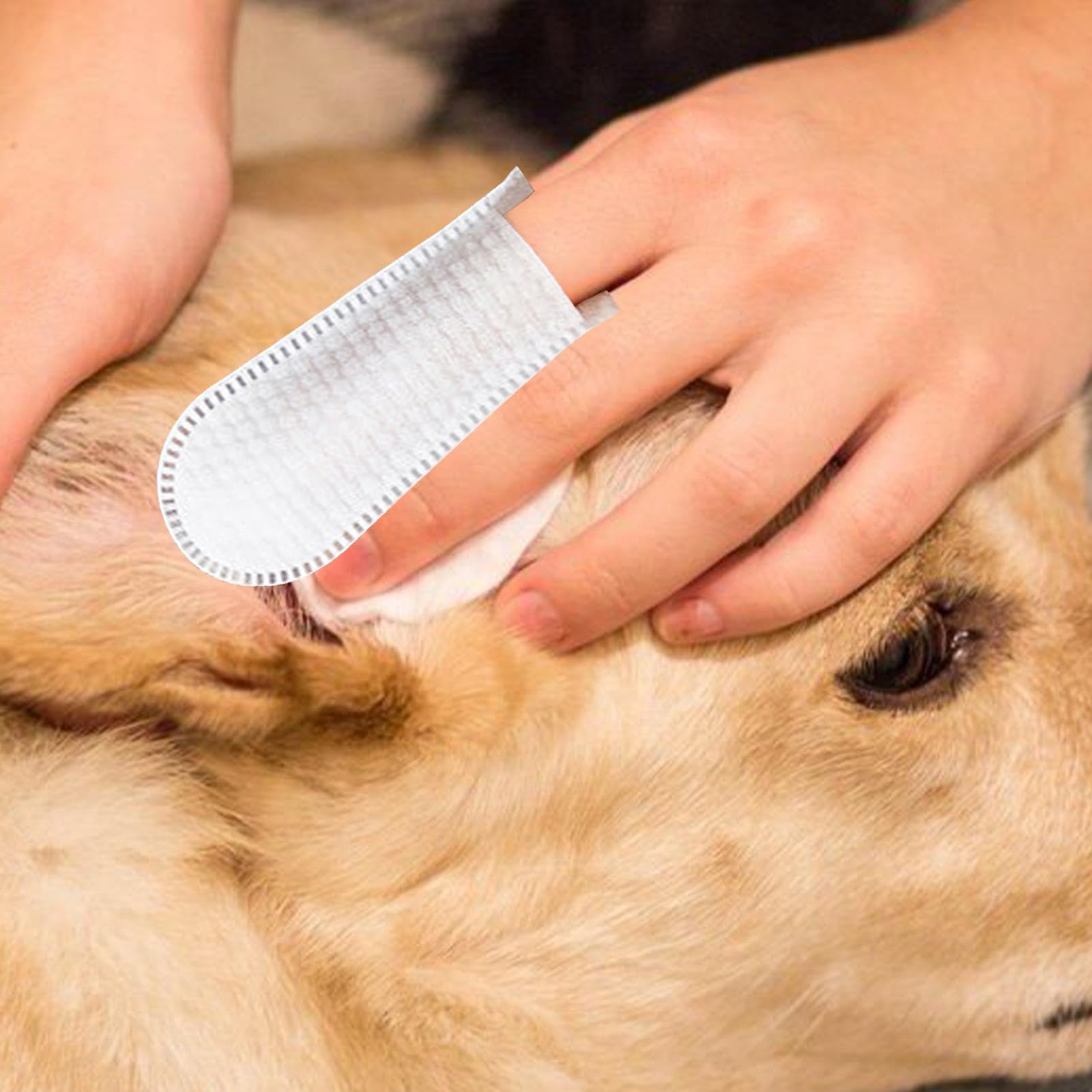 大特価！ペット用フィンガーワイプ 耳拭き掃除50枚入×32個 Amazon | Mdikawe 犬の耳の指のワイプ、犬の耳クリーナーの指のワイプ