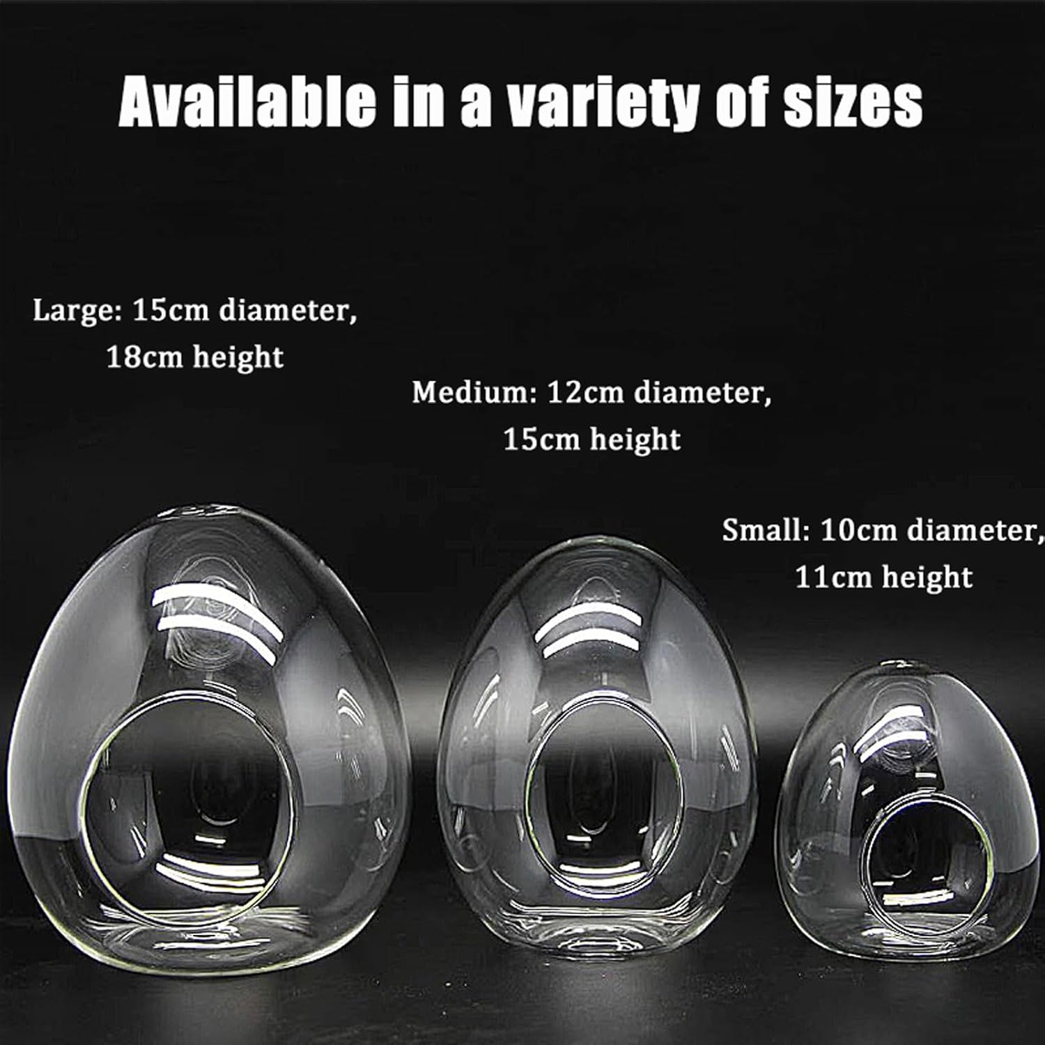 Egg-Shaped Glass Terrarium for Micro Landscape Decor Creative Home Office Centerpiece, Unique Gift for Plant Lovers(Small)