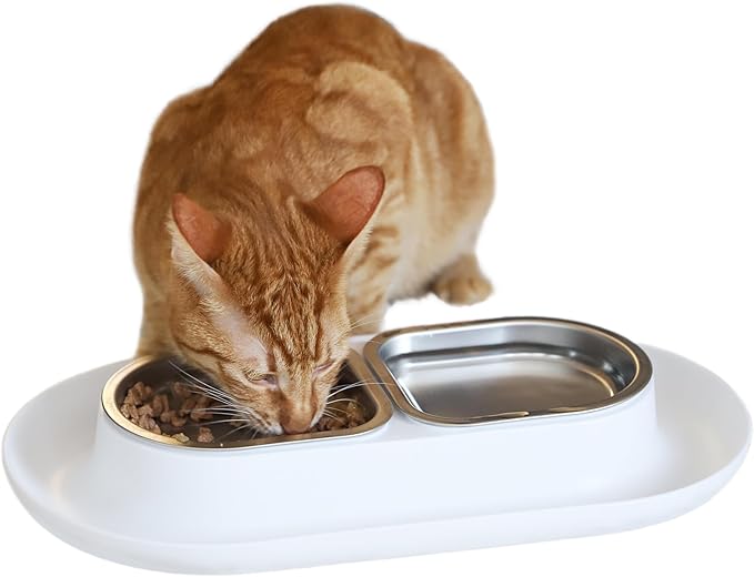 PetSafe 5-Meal Automatic Pet Feeder, Programmable Digital Timer