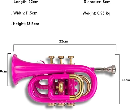 Qeen Brass Bb Pocket Trumpet in Pink with Case and Mouthpiece Compact Brass Instrument for Beginners and Students