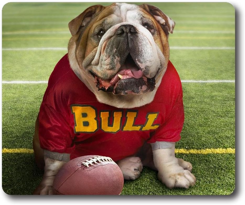 Online Designs Al Ain Desert Wildlife Park Square mouse pad silicon Printing pads 9 7.5inch