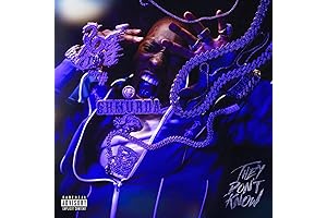 Bobby Shmurda Album Cover Poster: Express Your Musical Style with Edgy Decor