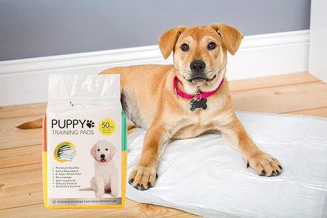 Puppy Pads 50 Pack 56 x 56cm Training Disposable Dog Mats Super Absorbent Wee Odour Locking Leakproof Toilet Pet Carrier Puppies Crate Liners