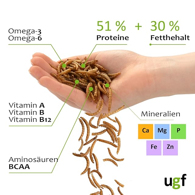 Foto 6 de 7 de UGF - Gusanos de harina Secos, 490 g, conserva, Aperitivos para pájaros, hámsteres, erizos, roedores…