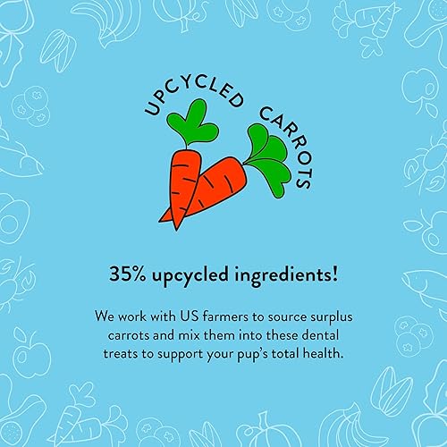 Miniatura 5 de Shameless Pets Golosinas dentales para perros, Carrate Chomp, palitos dentales saludables con soporte para la piel y el pelaje para limpieza de