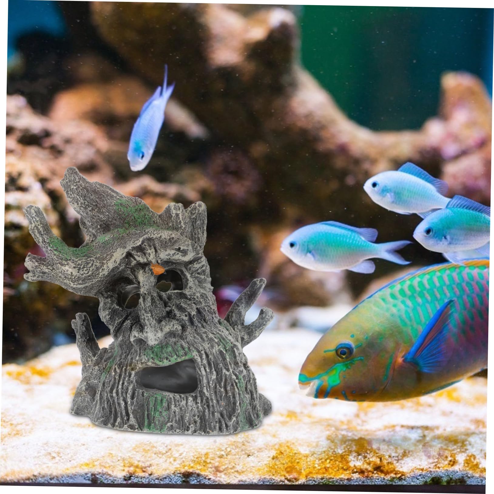 Decorativa per Design Umanoide per Decorazione per Simulazione per Acquari e Piante Ornamentali