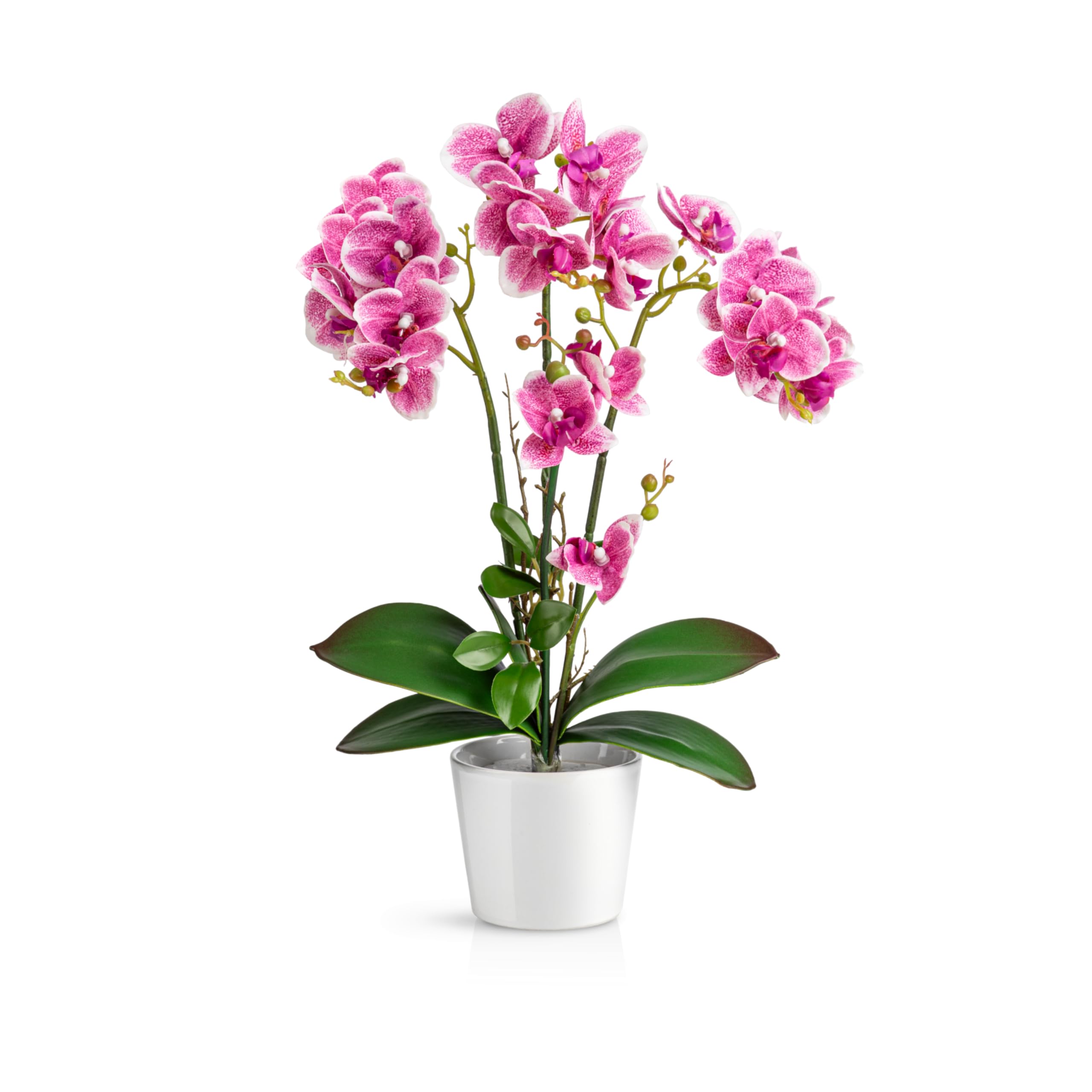 PASCH® Orchidee artificiali in vasi di ceramica lucida (46 cm), fiori artificiali come reali, fiori artificiali in vaso (bianco-rosa)