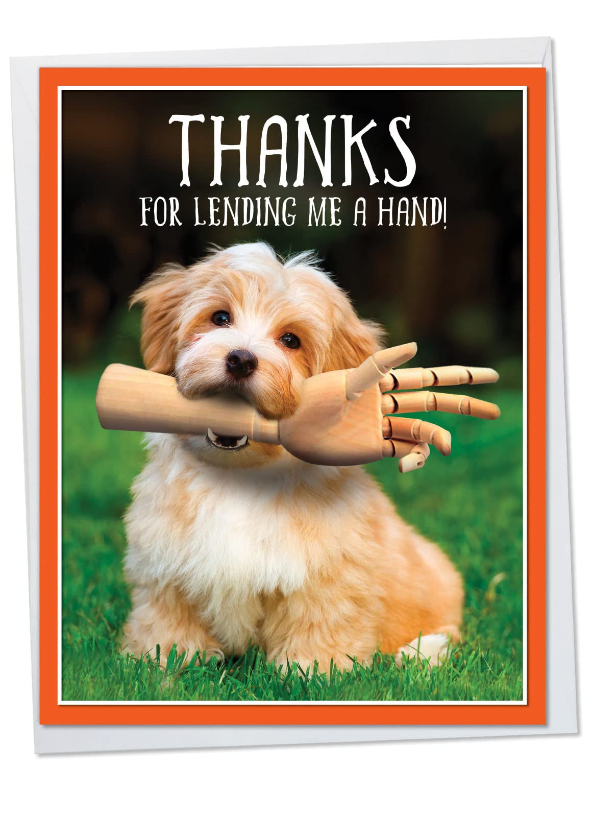 Nobleworks Thank You Card (8.5 x 11 inch) - Many Thanks J6842GTYG
