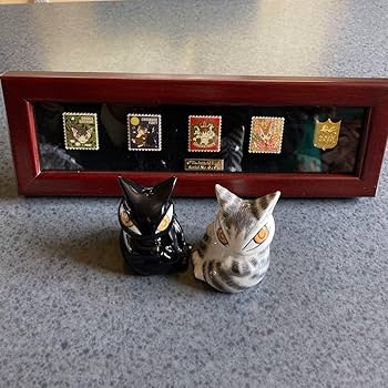 ダヤン　ソルト&ペーパー Amazon.co.jp: わちふぃーるど ダヤン と チップ S & P ソルト