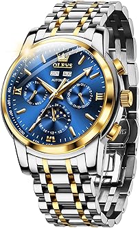 Mens Automatic Watches Skeleton Mechanical Self Winding Luxury Fashion Dress Wrist Watch Luminous Waterproof