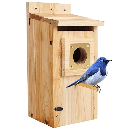 Bird Houses for Outside with Copper Guard,Thicken Wooden Bluebird House
