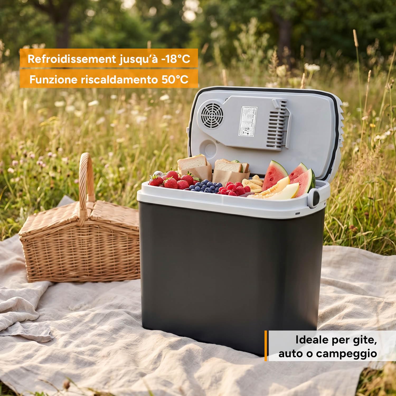 TZS First Austria Frigo Portatile Elettrico 20L Tripla Alimentazione 12V/230V/USB-C Raffreddamento Riscaldamento Nero Grigio