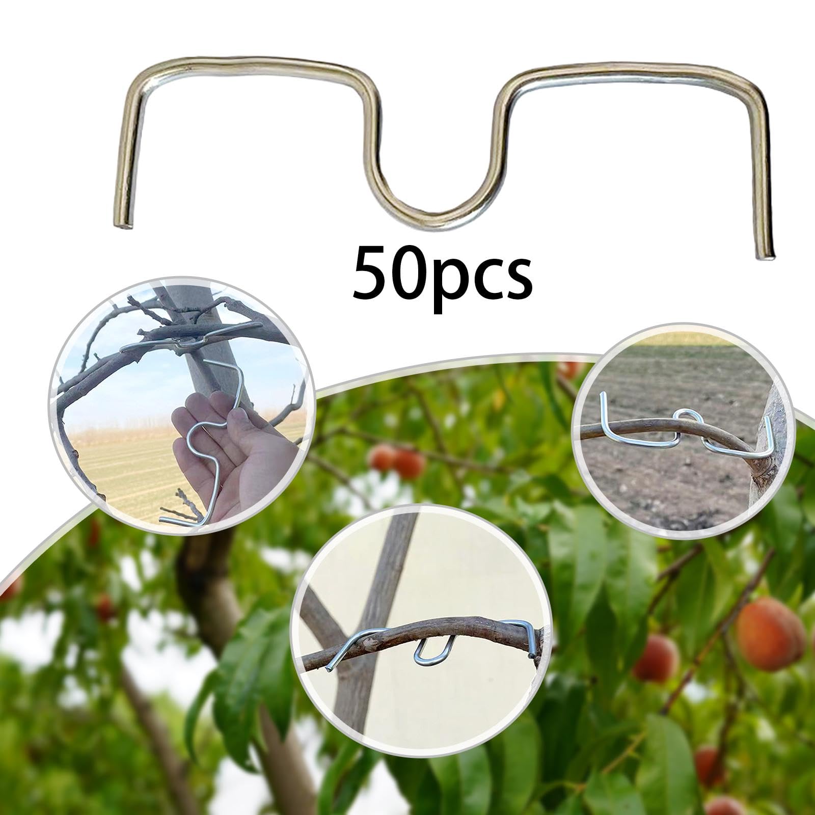 50 Pièces Écarteur de Branche Arbre Fruitier Outil Courbure Attache Métal Solide Réutilisable Adapté Entretien Vergers Arboricole, M13