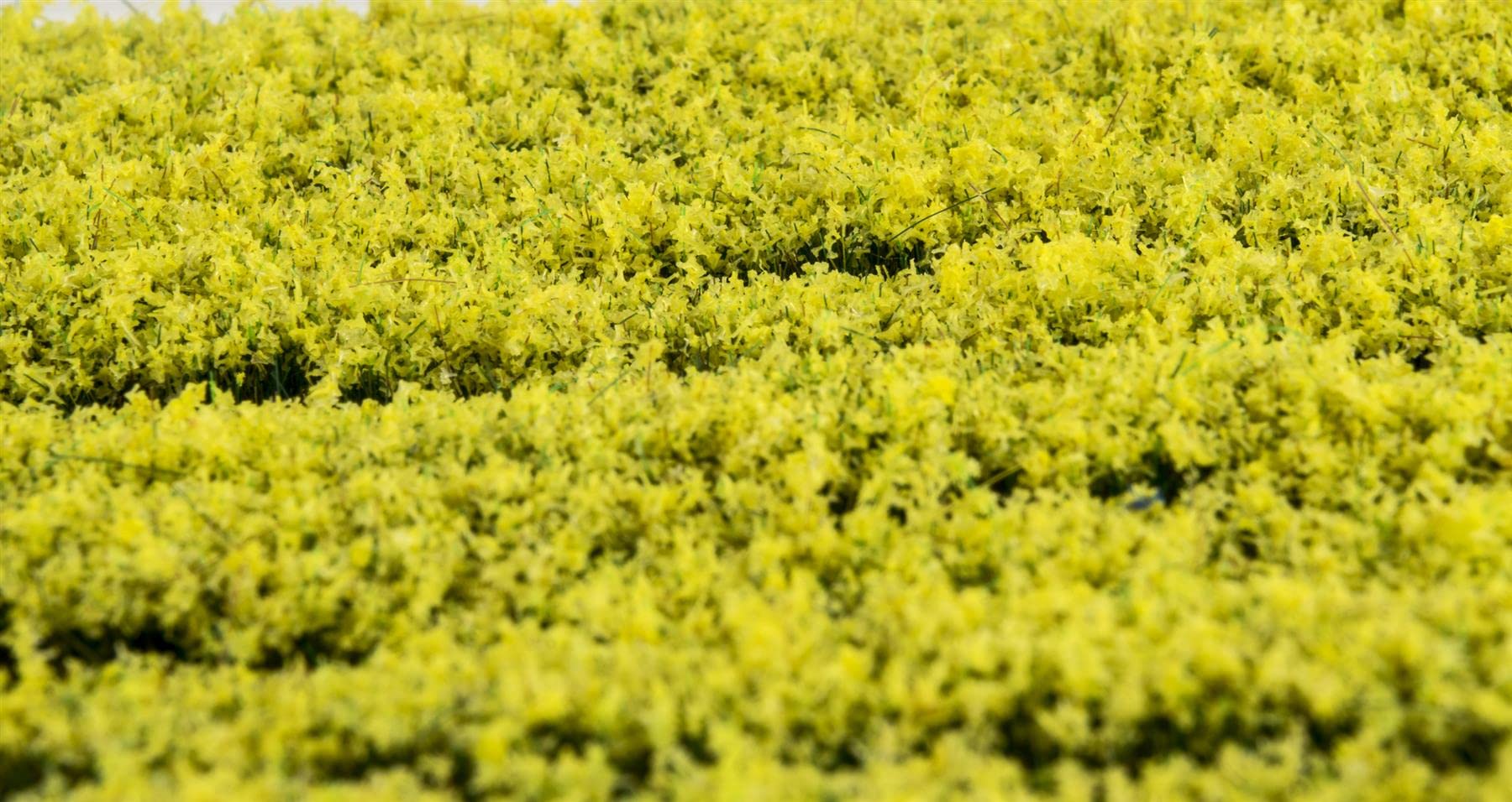 WWS War World Scenics WWScenics 10 x Bandes d'Herbe Statique |de 10 mm Jonquille | GSTDFL10 | Pour Maquettes