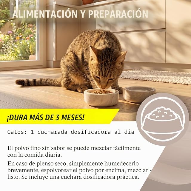 Foto 4 de 7 de ReaVET Articulación Complex Gatos 50 g - Polvo articular con colágeno para articulaciones y cartílagos
