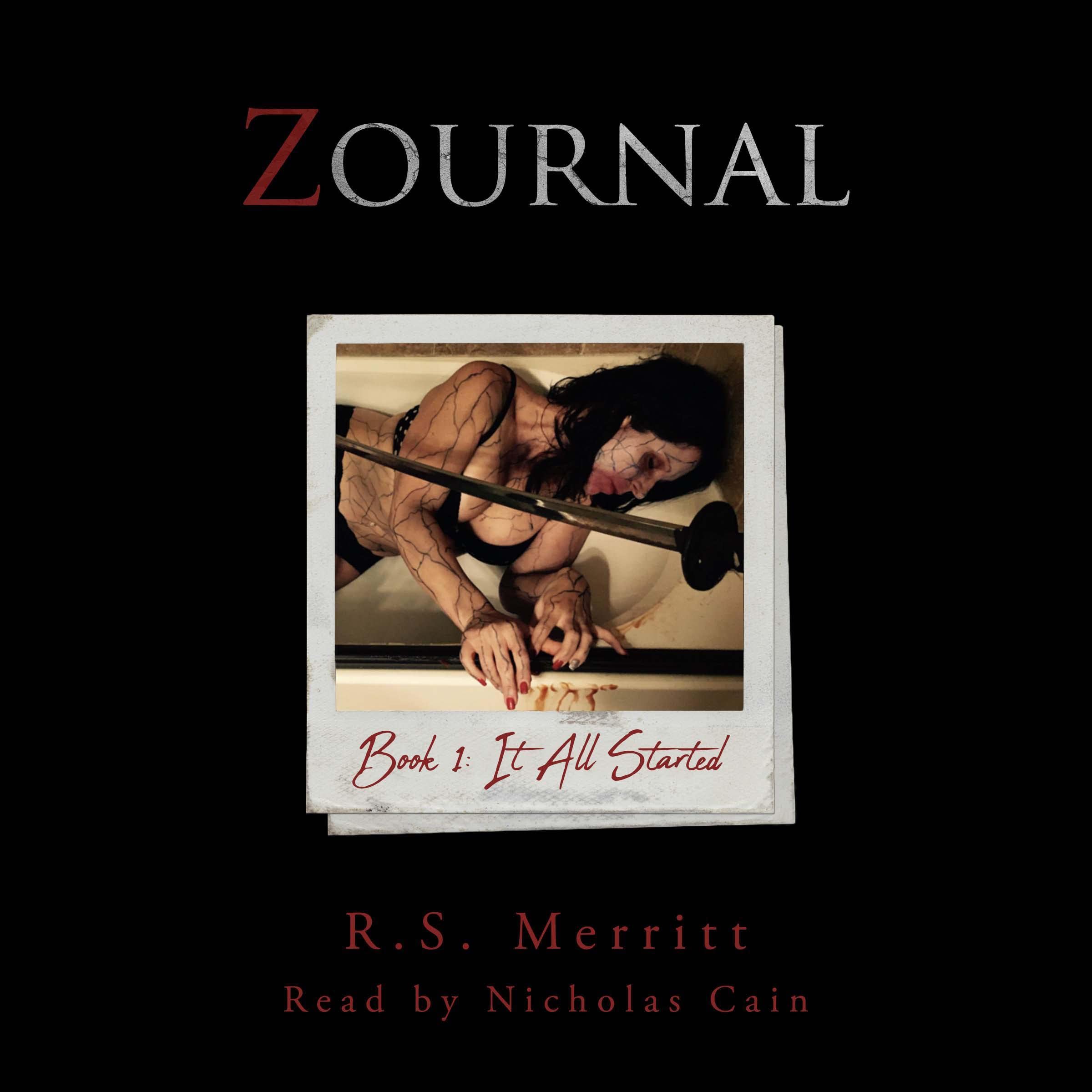 Cover art for Zournal