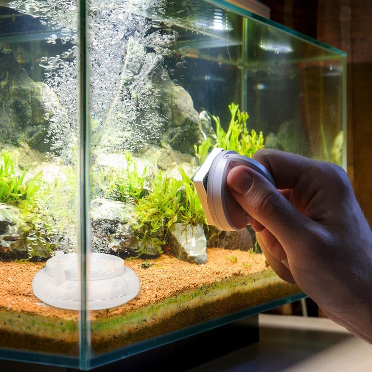 Yardwe 8stücke Luftstein Diffusor Für Aquarien Bubbler Für Hydroponik Leise Sauerstoffpumpe Gleichmäßige Blasenbildung Für Fischteiche Und Aquarien