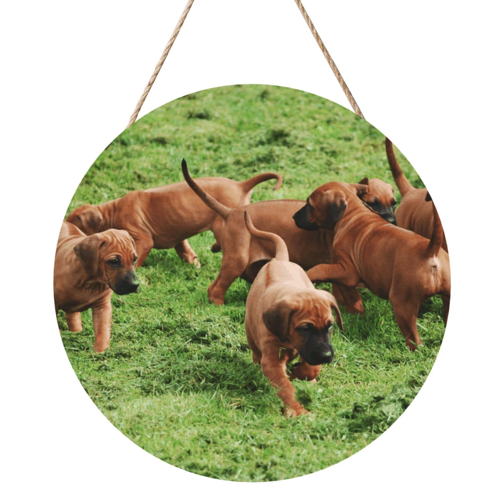 InOmak Rhodesian Ridgebacks Dogs Puppies Pets Family, Round Wood Panel Painting 12 in, Wall Hanging Painting For Home
