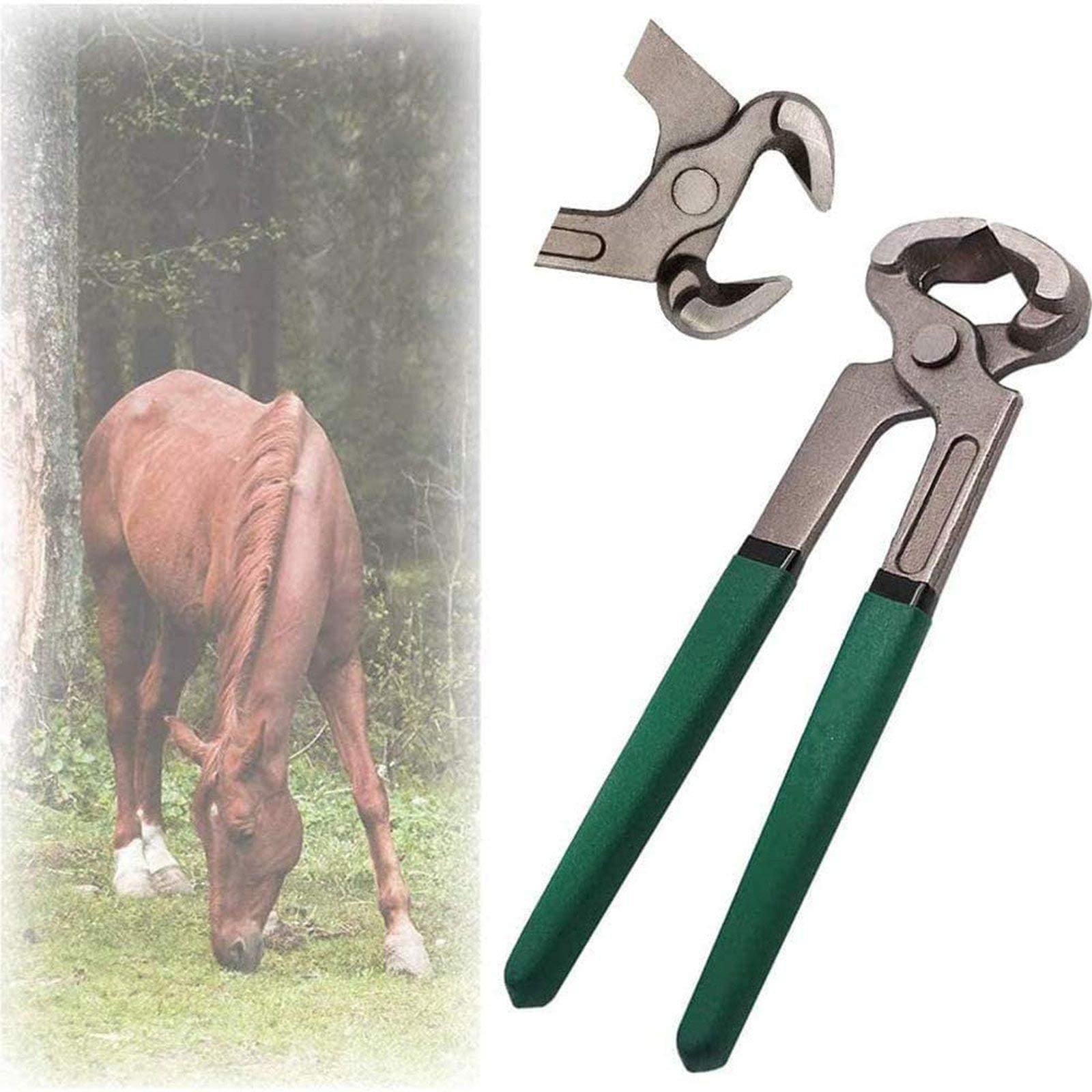 Horse Goat Farrier Hoof Trim Tool Kit, Professional Horses Hoof Trimming Tools Horse Equine Metal Shears Farriers Hoof Nipper Cutter, Trimming Shears Nail Clippers Multi-Purpose Hoof Trimmers