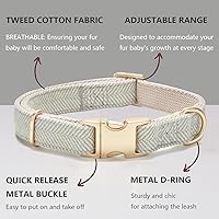 Vista 123 de Collar de Algodón Suave para Perro con Hebilla de Metal Ajustable de Servicio Pesado Cómodo Collares de Pana para Perros Pequeños, Medianos