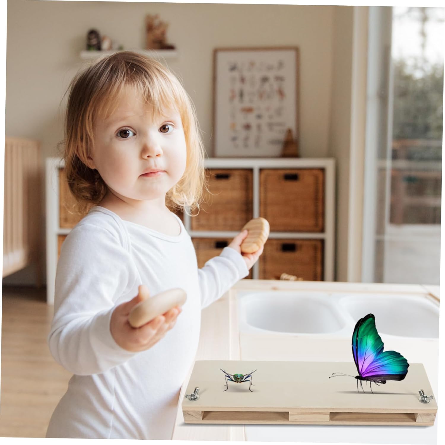 Butterfly Specimen Pinning Board Board for Displaying Full Wings Unique Design for Easy Mounting of Butterfly Specimens for Framed Insect