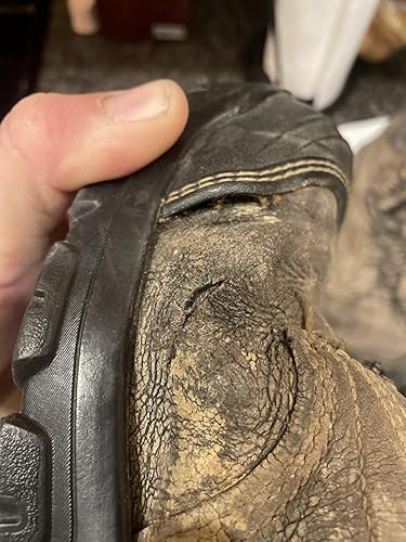 Review Image by Amazon Customer