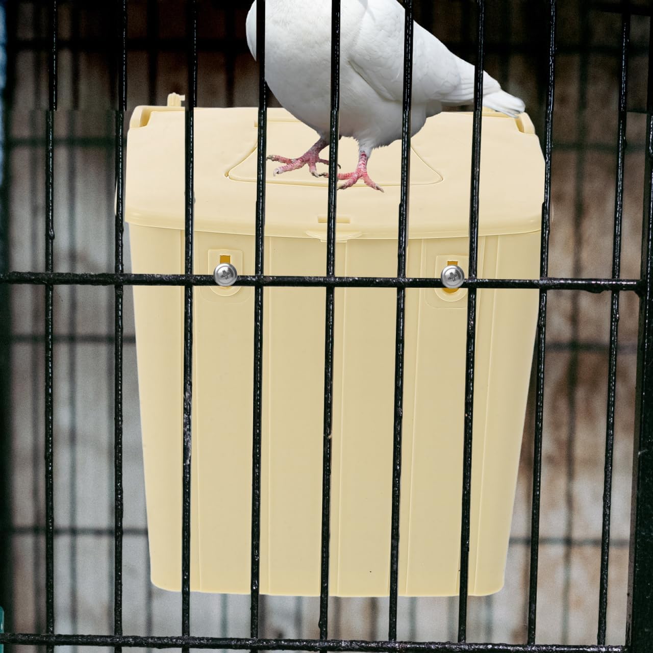 Balacoo 3 Pcs Plastic Bird Nest Box, Bird Breeding Box with Hooks for Birdcage Hanging - Squirrel Nesting House for Finch, Parrot, Budgie, Parakeets Cockatiels (Double Holes at The Front and Back)