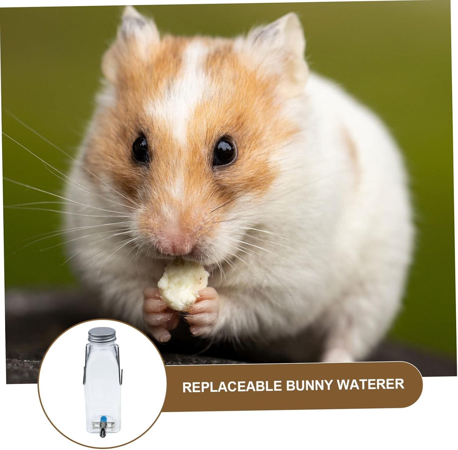 1set Pet Bunny Water Bottle Leakproof Water Feeder for Small Pets Easy Guinea Pigs and Other Small Animals