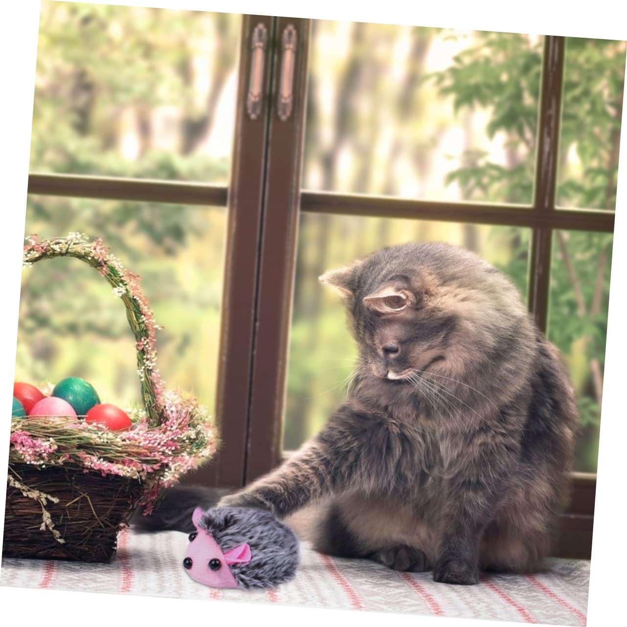 Beavorty 15stücke Teiliges Interaktives Katzenspielzeug Plüsch Vibrationsspielzeug Für Katzen Lustige Lehrreiche Spielzeuge Für Haustiere Zufälligen Farben Und Leicht Fördert Und